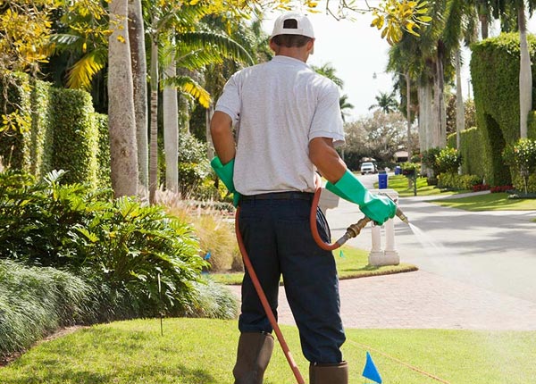 About Torrance PA Pest Control